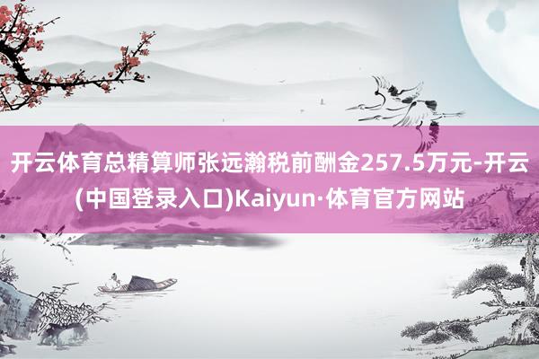 开云体育总精算师张远瀚税前酬金257.5万元-开云(中国登录入口)Kaiyun·体育官方网站
