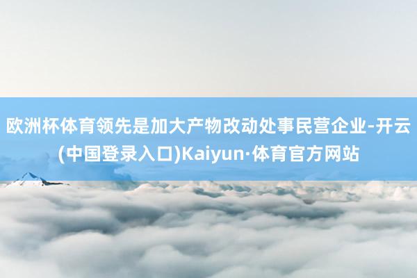 欧洲杯体育　　领先是加大产物改动处事民营企业-开云(中国登录入口)Kaiyun·体育官方网站