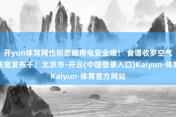开yun体育网也别忽略用电安全哦！ 食谱收罗空气空气炸锅新宠发布于：北京市-开云(中国登录入口)Kaiyun·体育官方网站